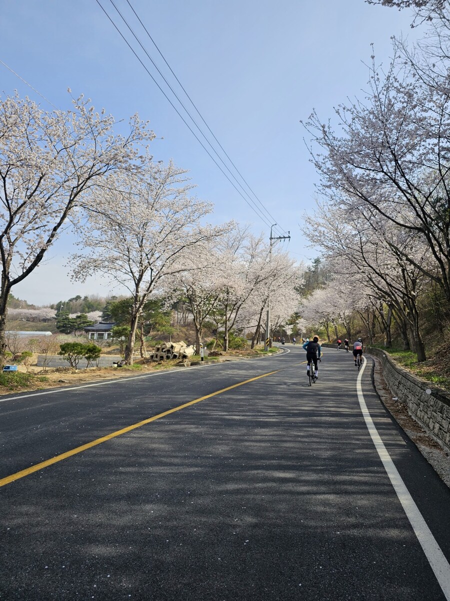 헬스자전거로 복귀 그란폰도 나가기_7.jpg