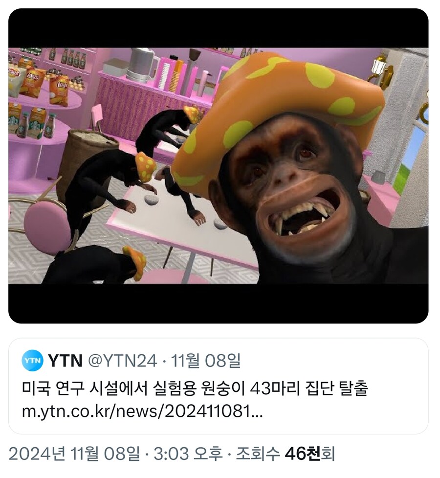원숭이 아저씨의 대모험_44.jpg