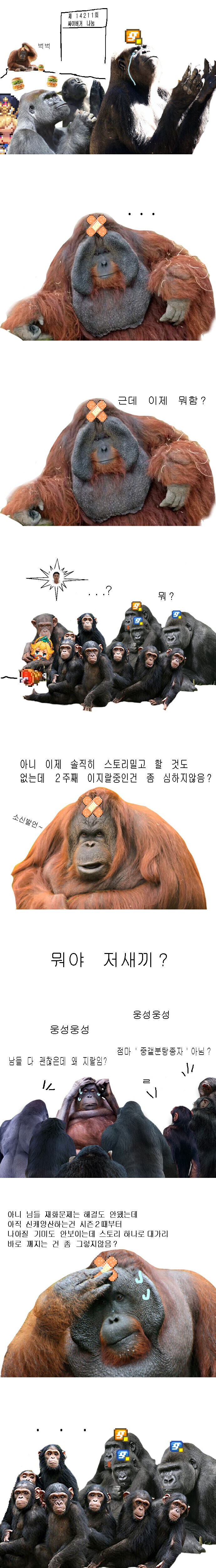전설의 침팬지밈 원본 만화.manga_2.jpg
