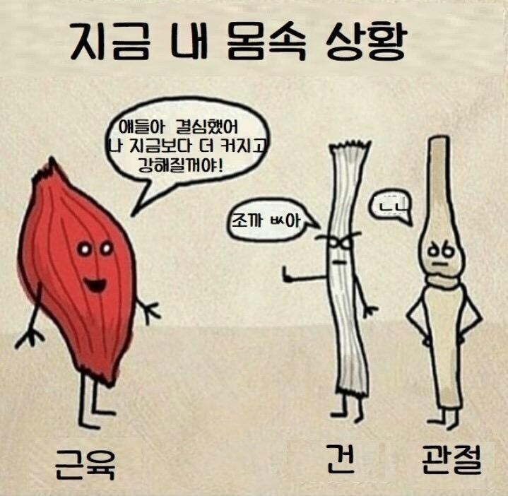 30대 넘긴 헬창들 근육 상황_1.jpg