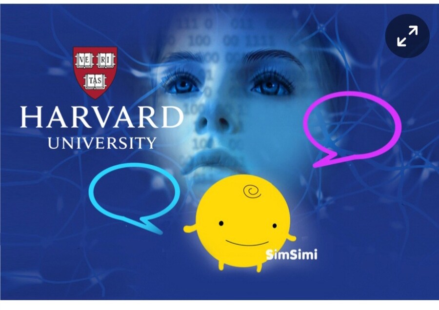 심심이 근황.jpg_2.jpg