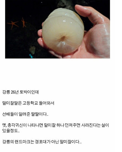 말미잘 딸 후기_1.jpg