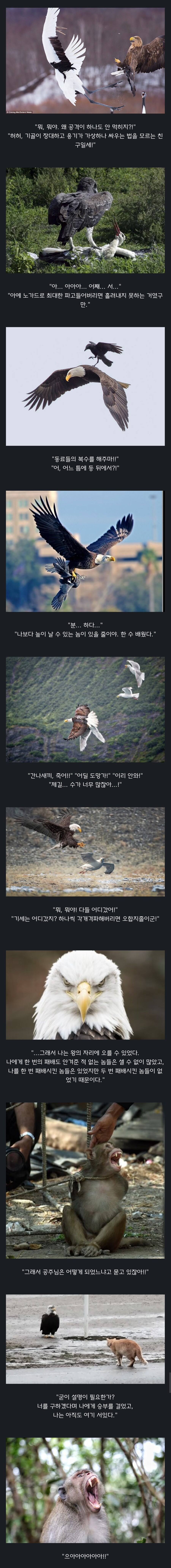 원숭이 아저씨의 대모험_48.jpg