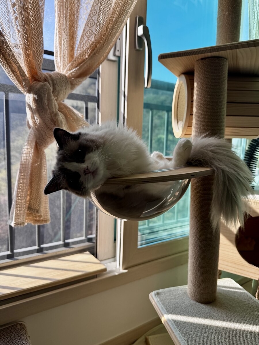 록희의 생일, 산책, 건강검진_4.jpg