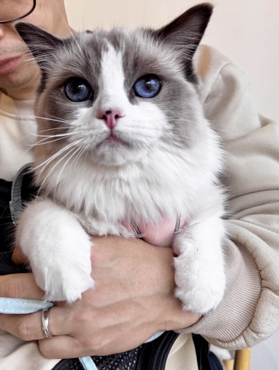 록희의 생일, 산책, 건강검진_16.jpg