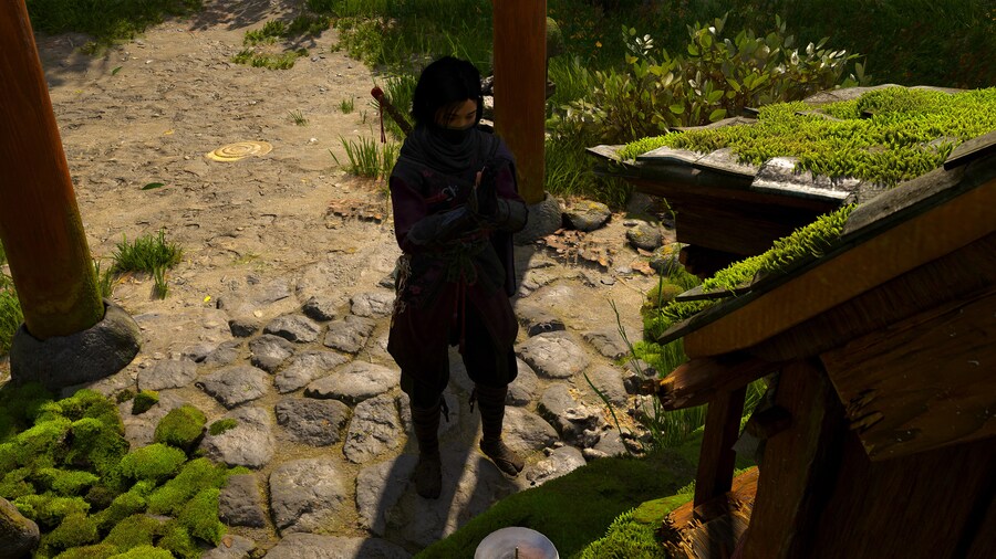 Assassin's Creed® Shadows_19.jpg