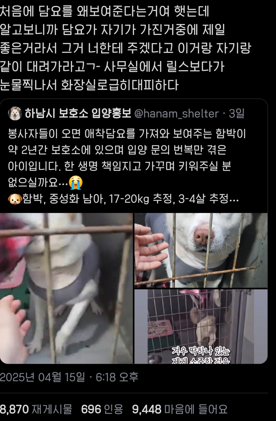 자기가 가장 좋아하는 담요 보여주는 강아지_1.png