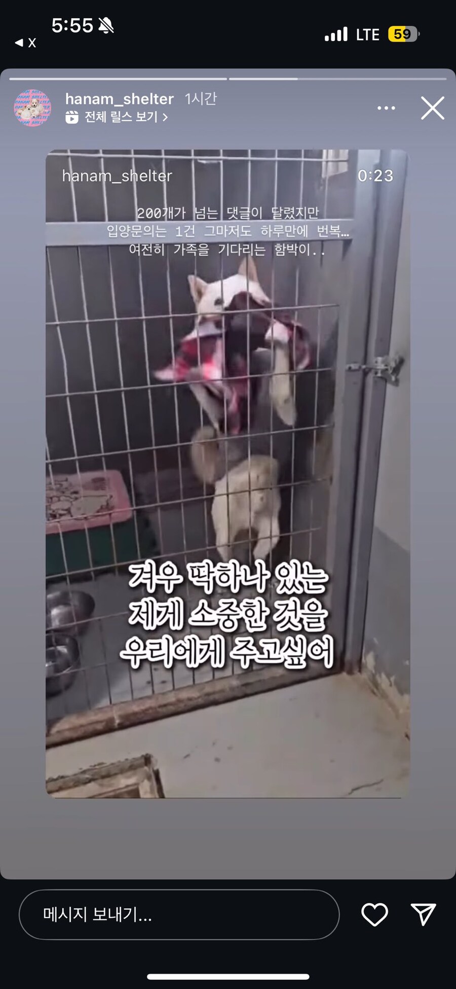 자기가 가장 좋아하는 담요 보여주는 강아지_2.jpg