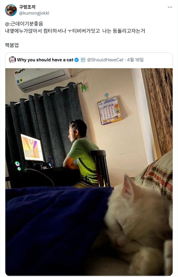 묘하게 잠 잘오는 환경.jpg_1.png