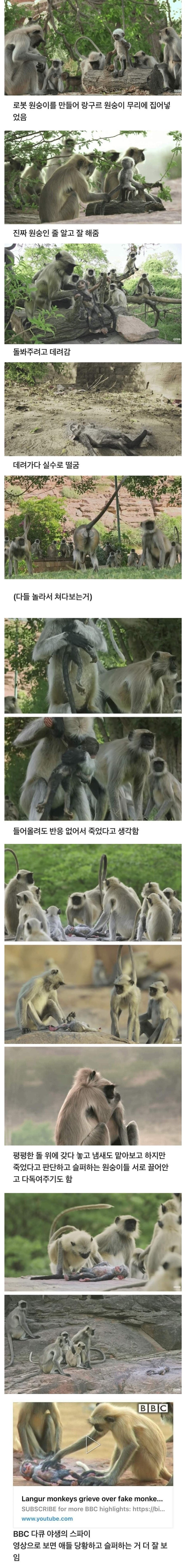 원숭이 아저씨의 대모험_61.jpg