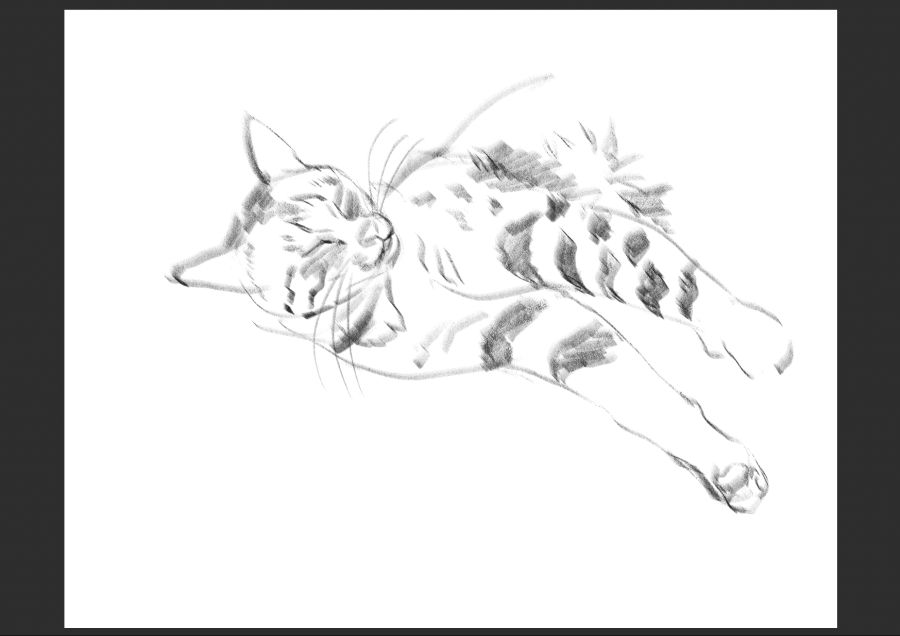 우리집 고등어고양이 보고가셈_2.jpg