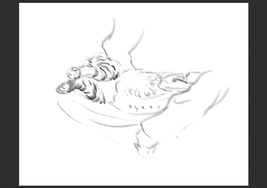 우리집 고등어고양이 보고가셈_4.jpg