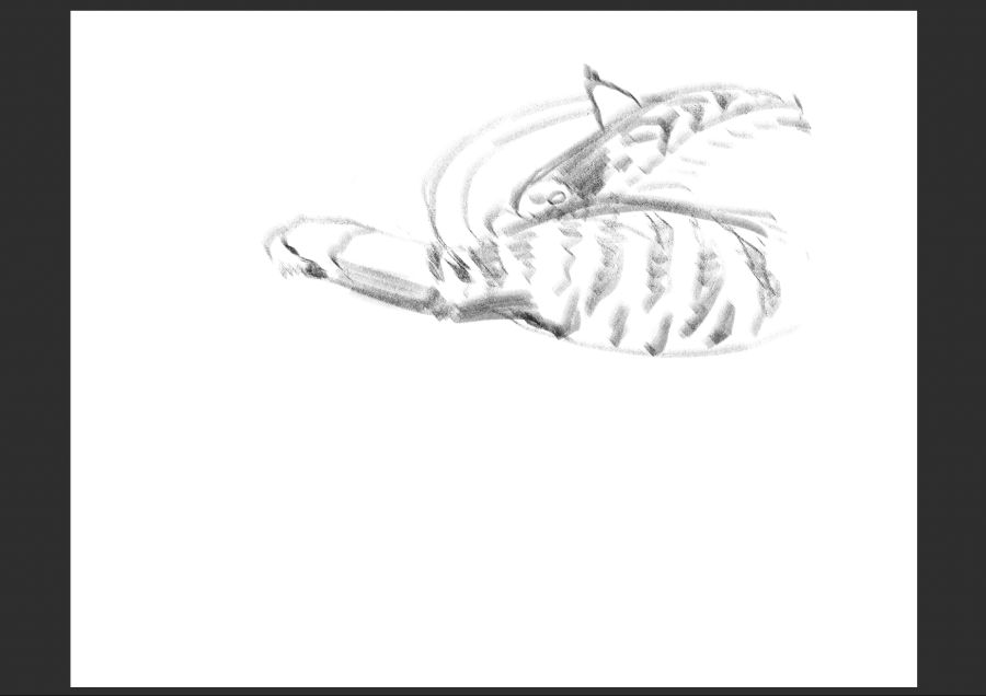 우리집 고등어고양이 보고가셈_5.jpg