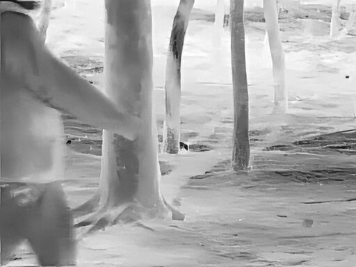 3월달, 선정릉과 탄천 탐조_16.jpg