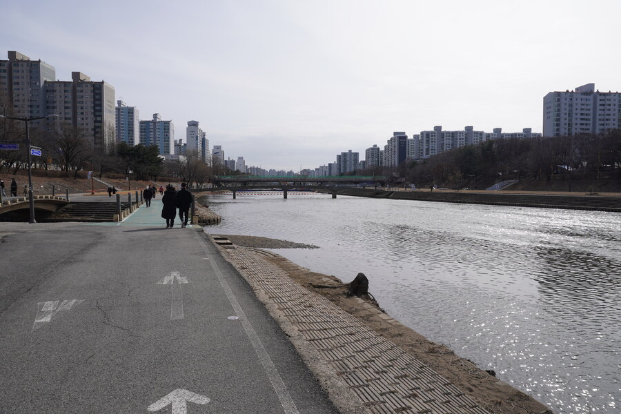 3월달, 선정릉과 탄천 탐조_37.jpg