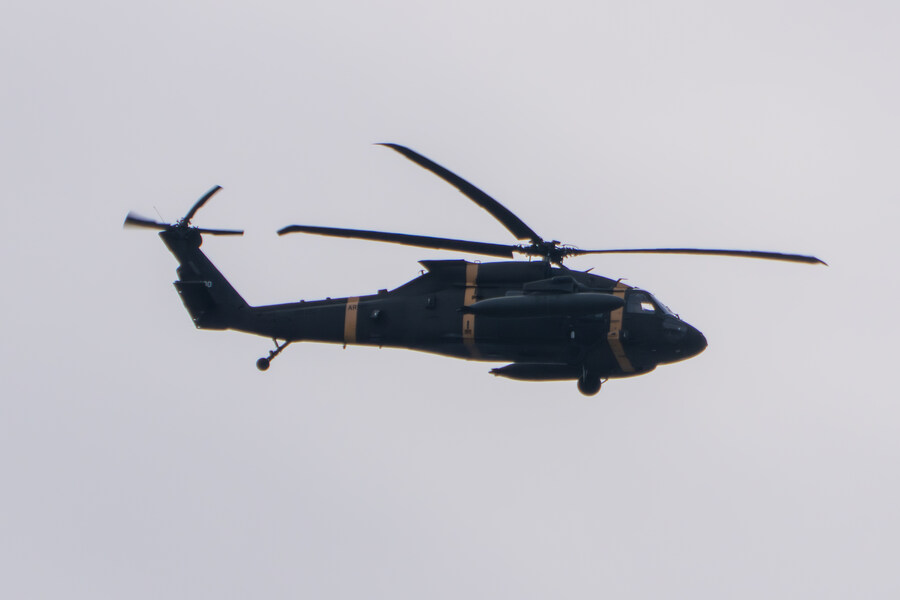 3월달, 선정릉과 탄천 탐조_44.jpg