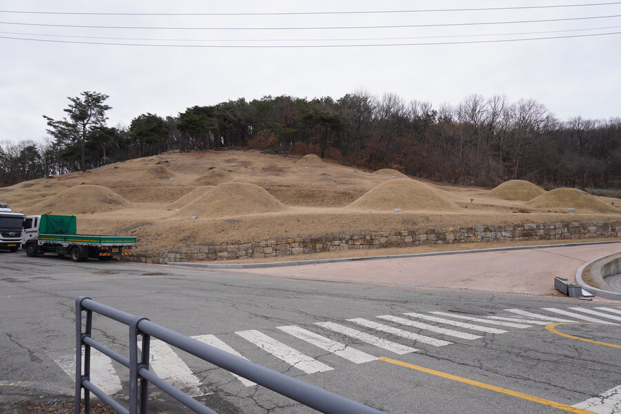 3월달, 선정릉과 탄천 탐조_46.jpg