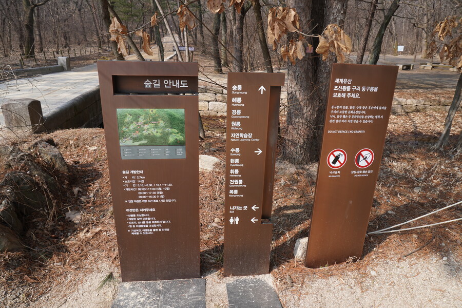 3월, 동구릉 탐조_6.jpg