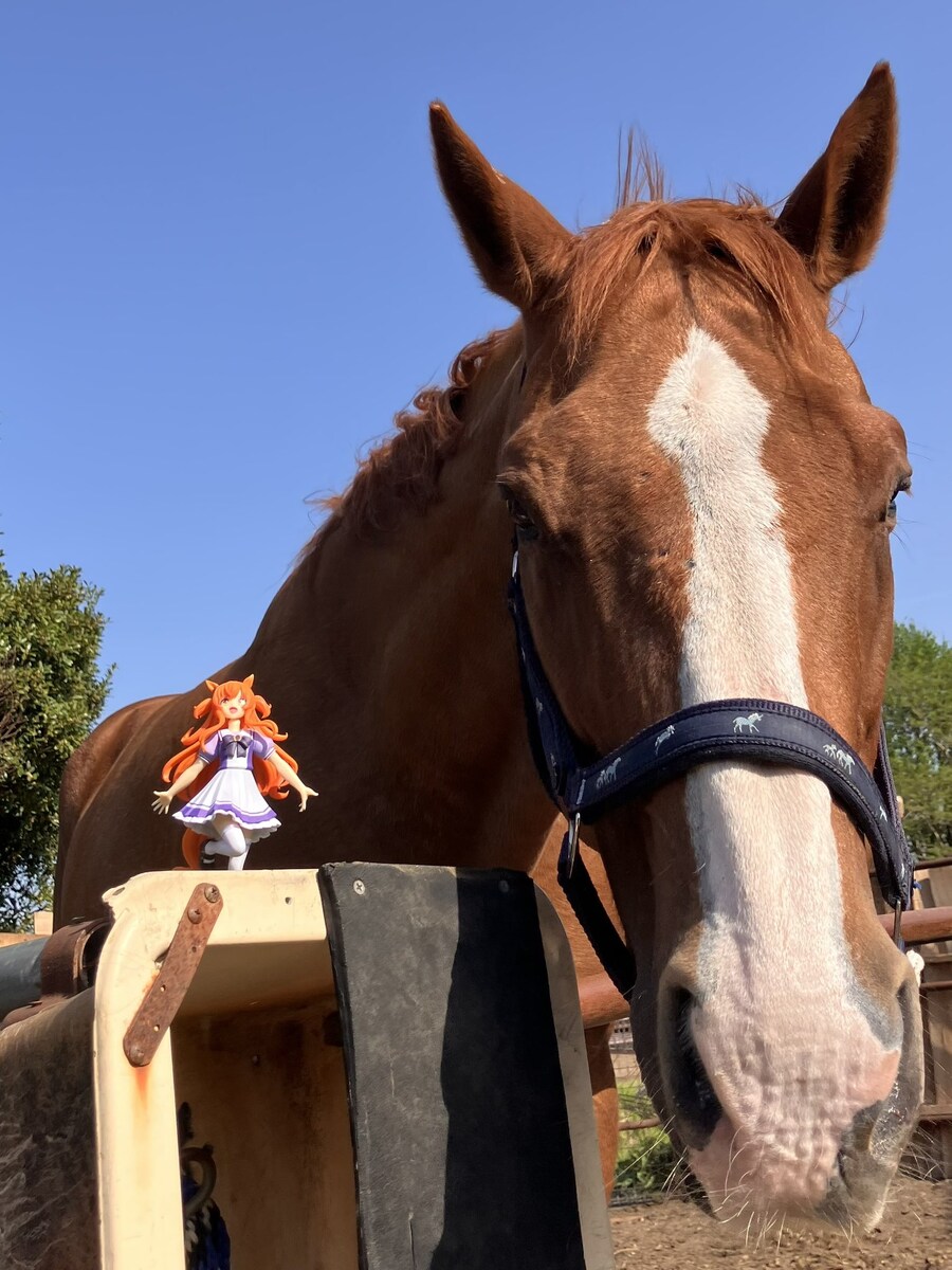 말딸 혈통) 피규어가 된 아버지를 마주한 자식._1.jpg