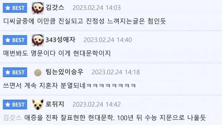 펨붕이들조차 감탄한 디시순문학_3.jpg