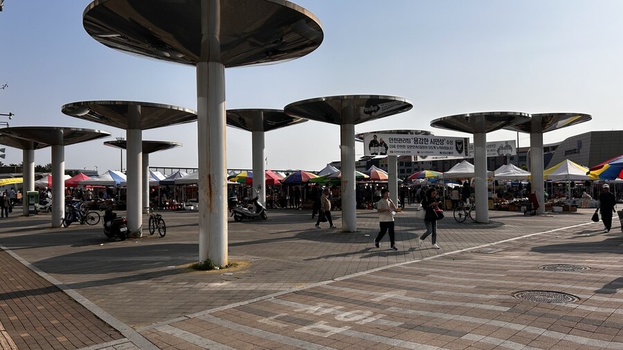 모란시장 돼지부속 무한리필, 약한 자는 못 버틴다_1.jpg