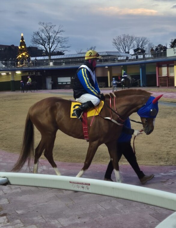 K-경마, 말딸 혈통) 네오 유니버스의 외손주, 위너영..._1.png