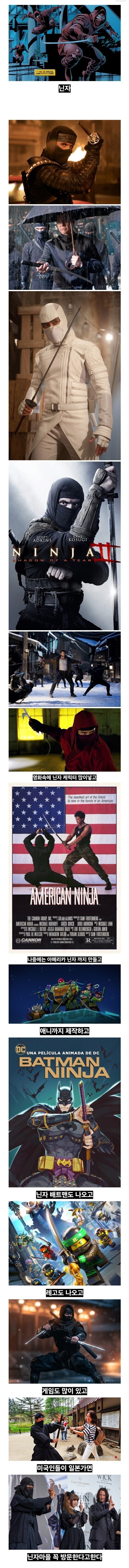 닌자라는 일본 문화에 미쳐있다는 미국.jpg_1.jpg