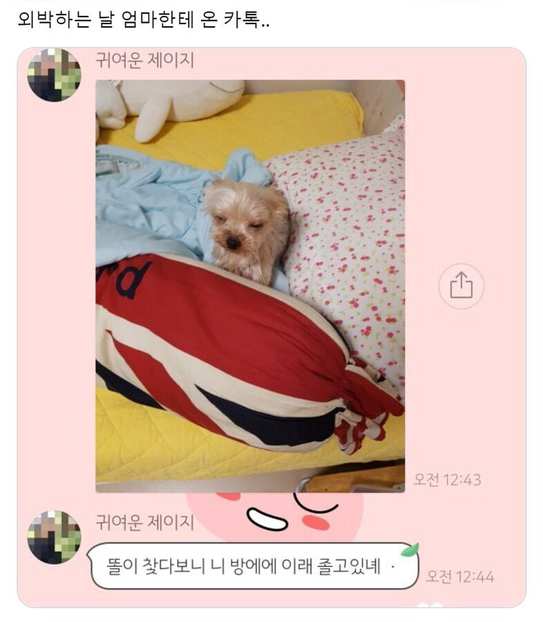 외박하는 날 엄마한테서 온 카톡.jpg_1.png