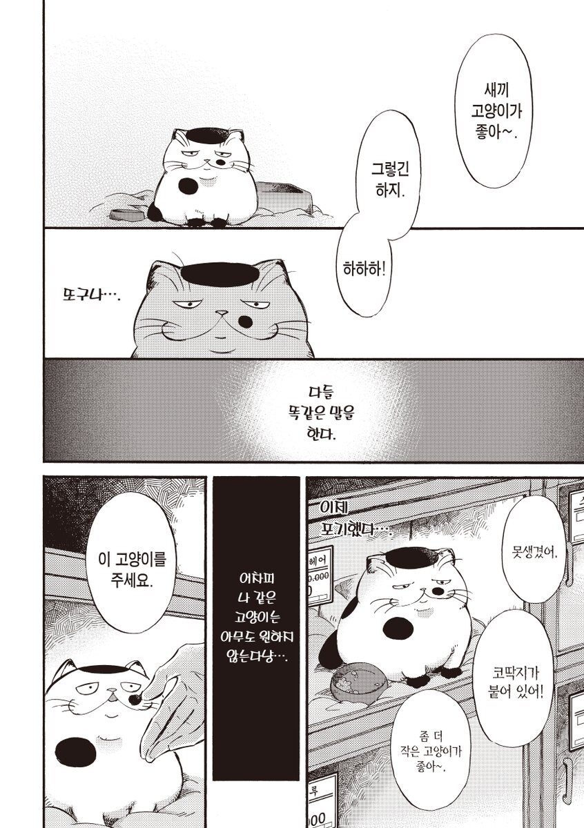 못생긴 고양이가 팔리는 만화_2.jpg