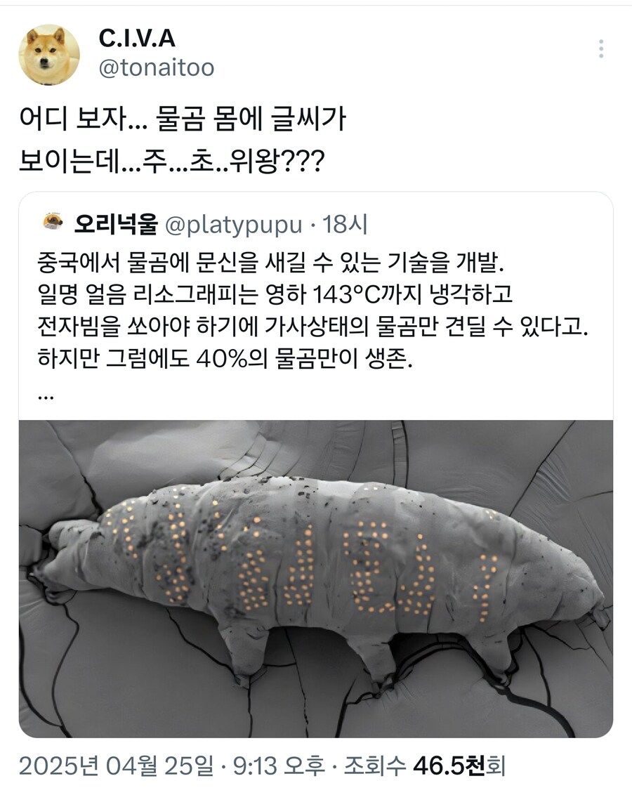 중국, "동물 몸에 문신하는 기술 개발"_1.jpg
