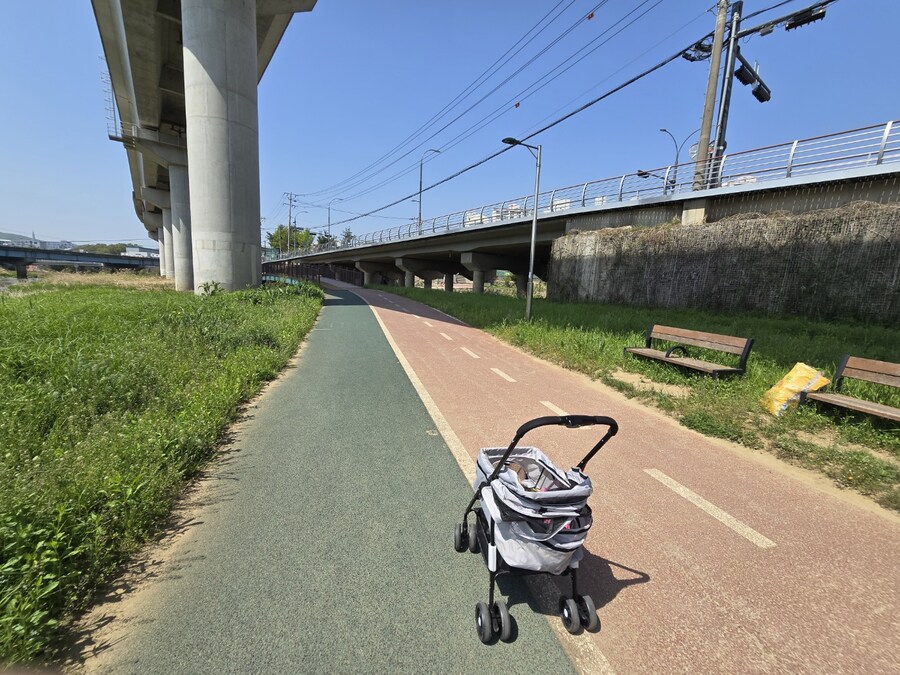 거북이 전용 유모차_4.jpg