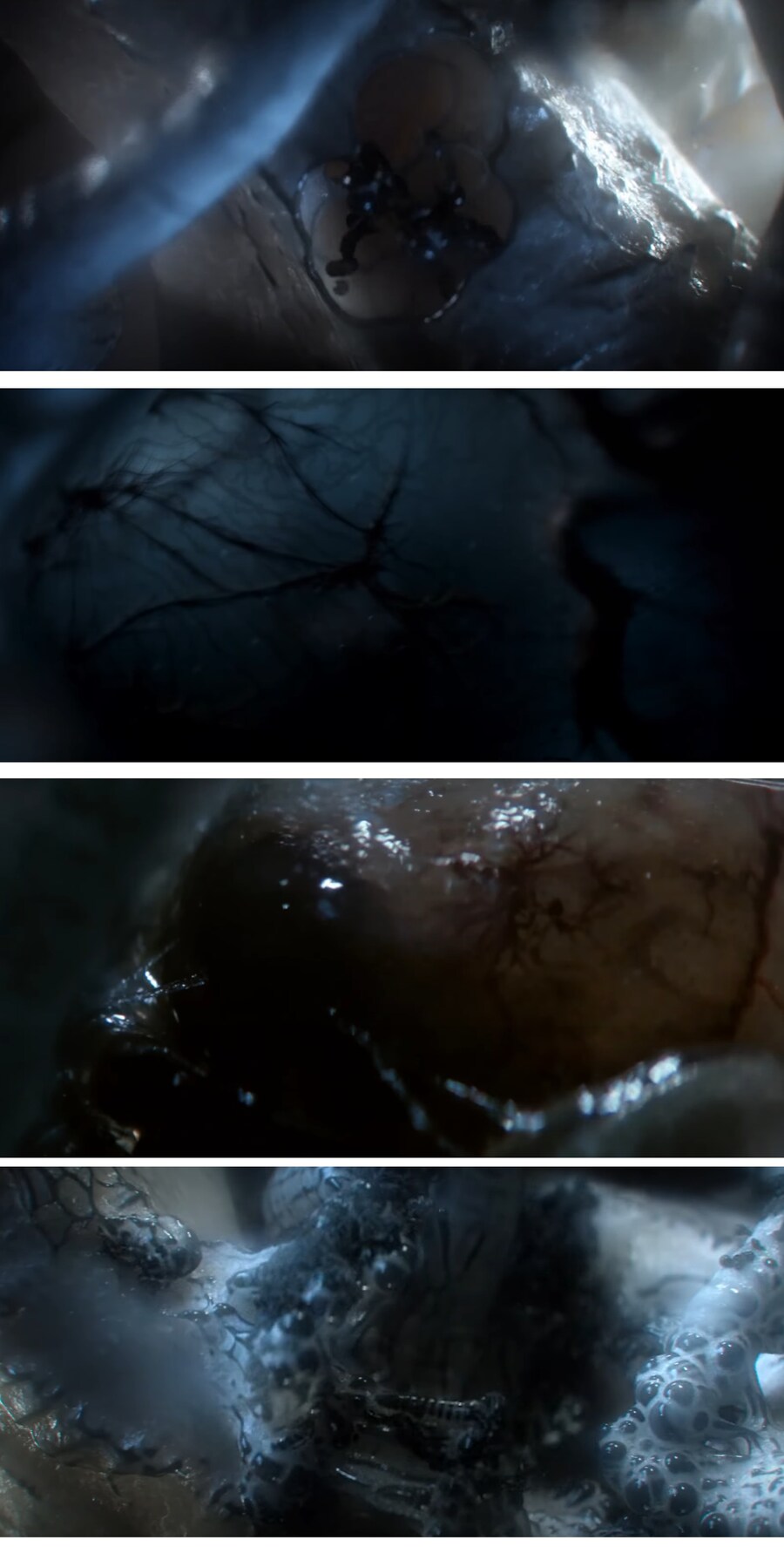 에일리언) 이번 신작 드라마에서 대놓고 보여주는 부분_5.jpg