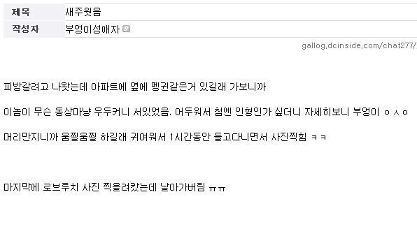 길 가다가 부엉이 주운 디시인_1.jpg