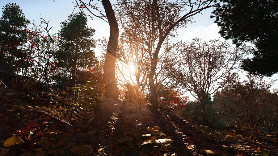 오늘도 나는 산을 달린다_2.jpg