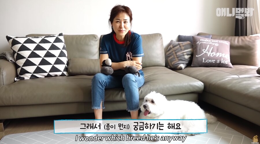 엄청난 화제였던 몰티즈.gif_10.png