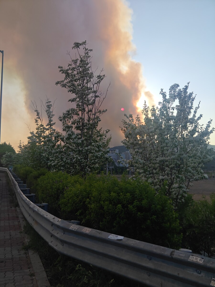 대구 산불 실시간 연기 ㄷㄷ_1.jpg