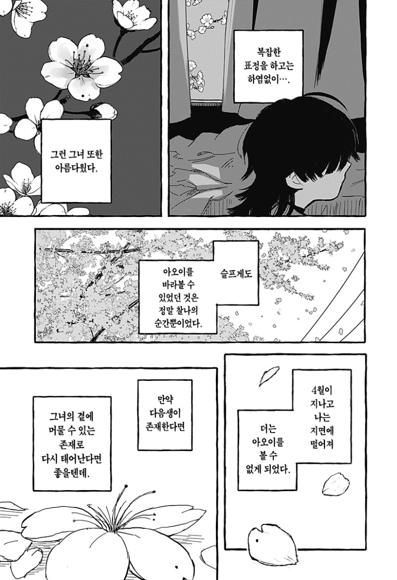 아오이의 방에 다시금 봄이 찾아왔다 만화 .manhwa_5.png