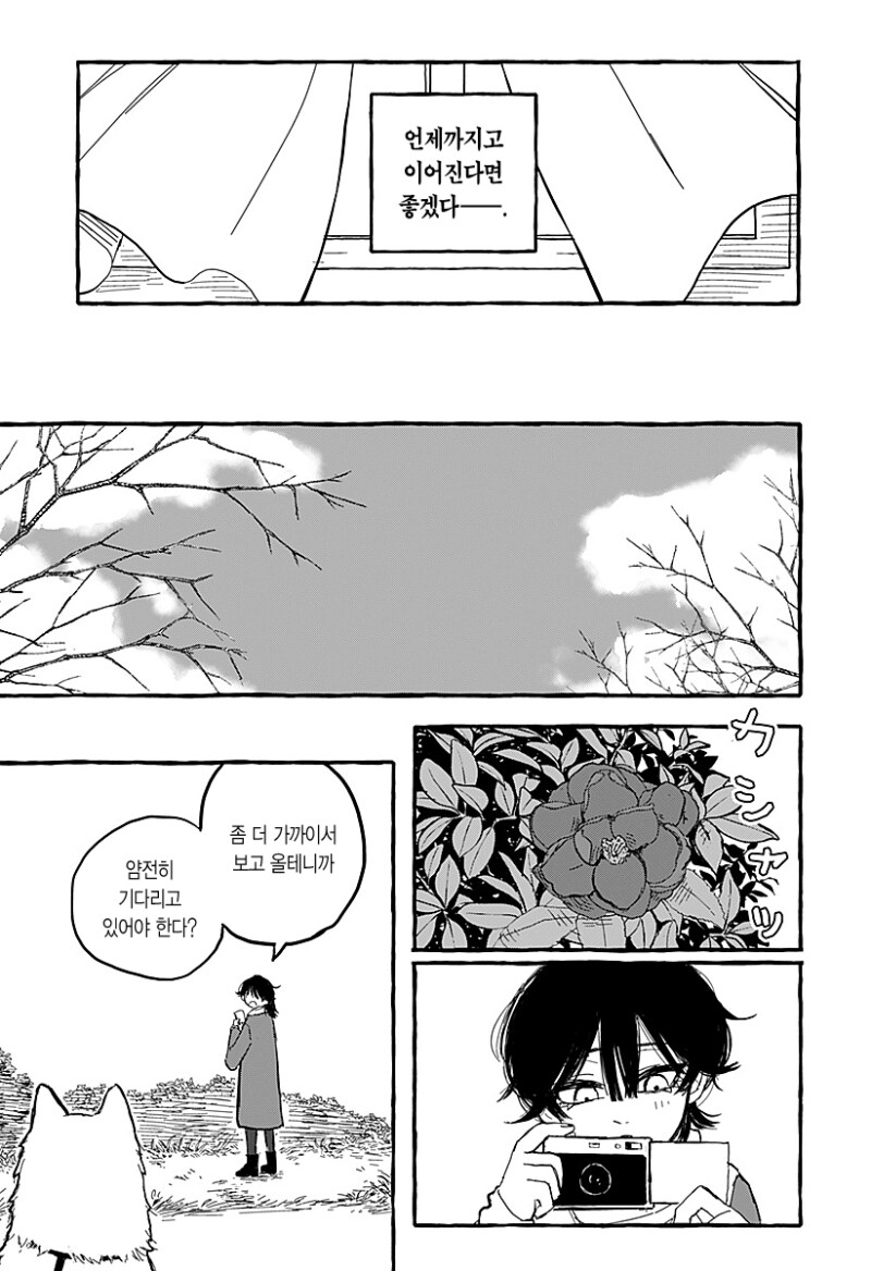 아오이의 방에 다시금 봄이 찾아왔다 만화 .manhwa_23.png