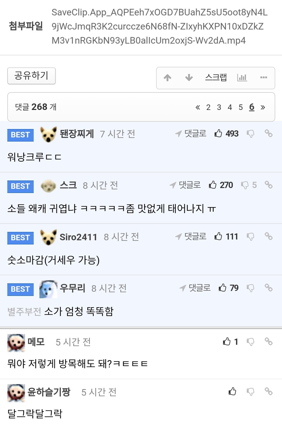 시골 러닝크루 근황.mp4_2.jpg