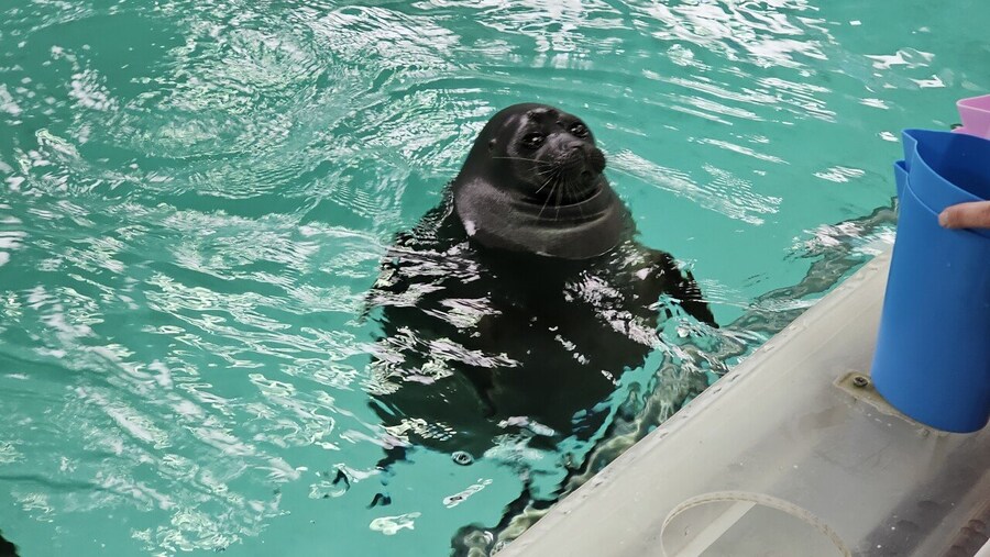 도대체 왜 여기서 사는지 모르는 생물.jpg_5.jpg