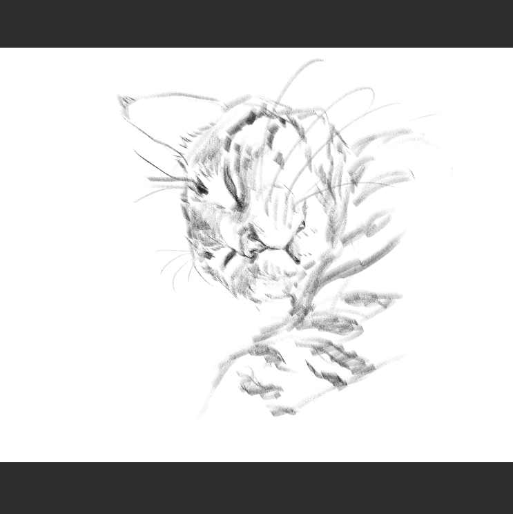 우리집 고등어고양이 보고가셈_2.png