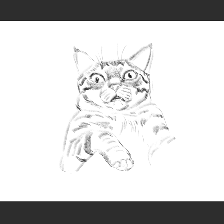 우리집 고등어고양이 보고가셈_4.png