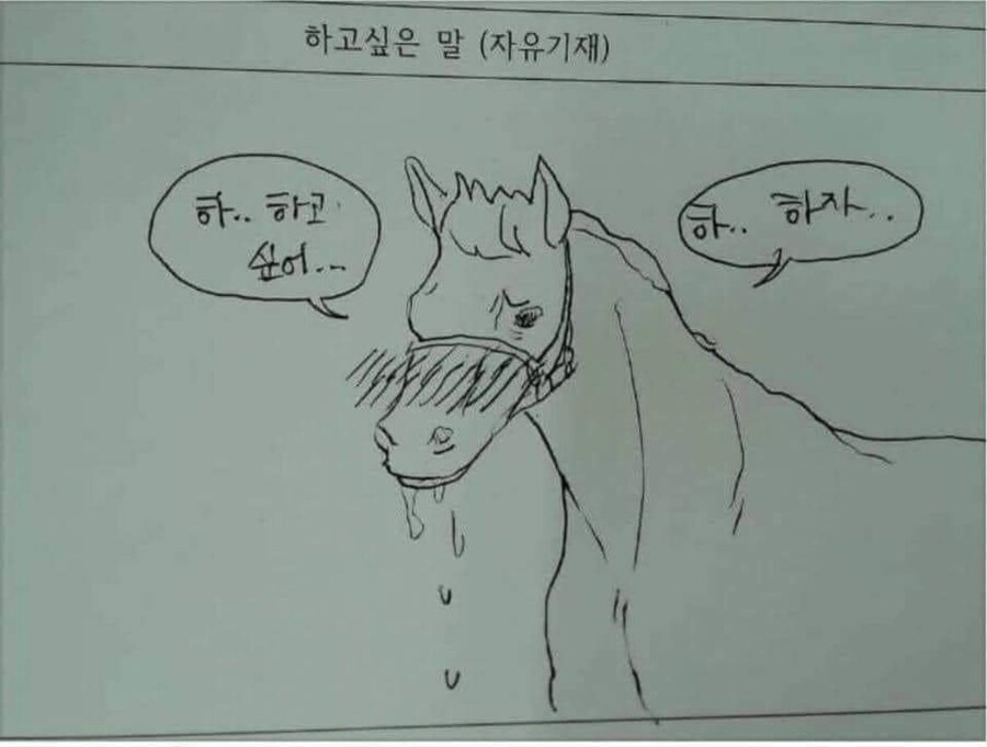 하고싶은 말(자유기재).jpg_1.png