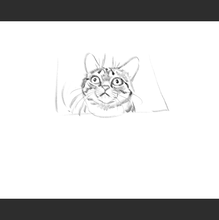 우리집 고등어고양이 보고가셈_3.png