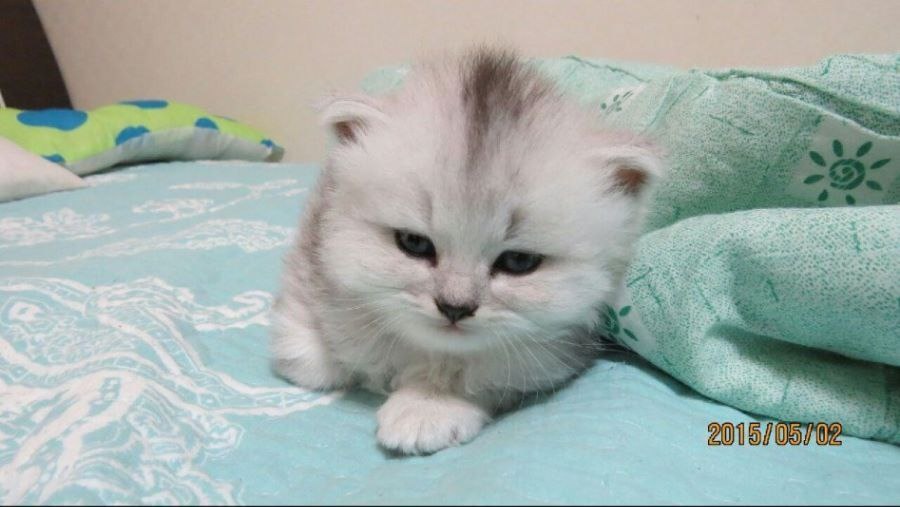 [축!] "10년째 아무것도 안함!"_1.jpg