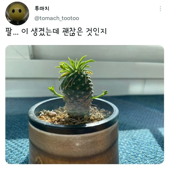햇살 넘 기분 좋다^^_1.webp