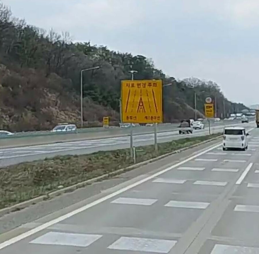 19) 마장분기점 이녀석_1.jpg