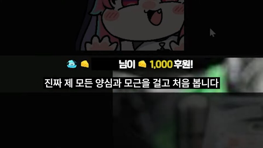 버튜버) 로제타/논란 나이 논란_11.png