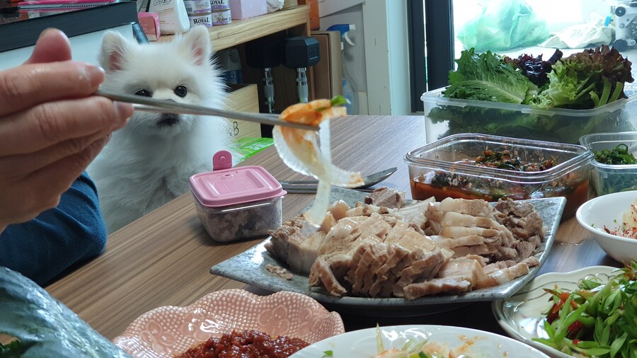 "수육.. 수육을 삶았구나!"_4.jpg