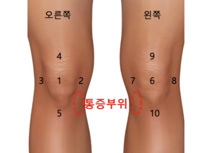 운동) 스쿼트랑 레그프레스 하는데_1.jpg